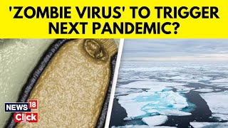 Zombie Virus Which Spent 48500 Years Frozen In Arctic Could Spark Deadly Pandemic  N18V [upl. by Snodgrass295]