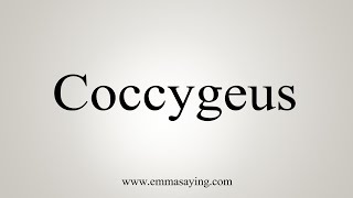 How To Say Coccygeus [upl. by Kingsly]