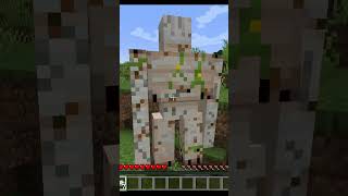 You See A Irongoleam In Minecraft minecraft [upl. by Saidel]