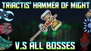 Triactis Hammer of Might VS All Bosses 5000 Subscriber special Terraria  Calamity Mod 12 [upl. by Aliahs138]