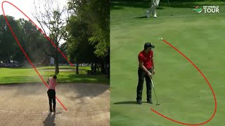 0 Luck 100 Skill Golf Shots [upl. by Hourihan]