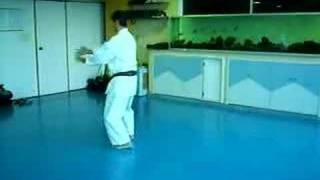 SUPARINPEI KATA SEIGOKAN R TAKESHI [upl. by Brookes]