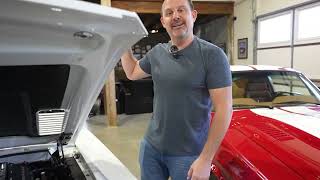 HiTech Legends 1967 Shelby GT500 Mustang Owner Review [upl. by Annnora]