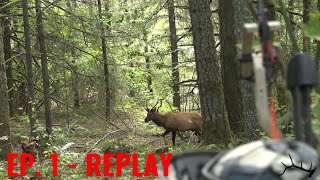 Elk Kill Shot  Dropped in his tracks  Ep 1 Replay [upl. by Ednew]