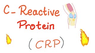 CReactive Protein CRP  Inflammation  Acute phase reactant [upl. by Kenweigh]