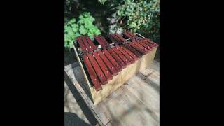 MARIMBA DE PALISANDRO BOLIVIANO MORADILLO [upl. by Aholah667]