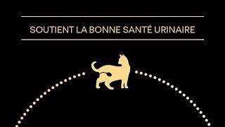 PURINA® PROPLAN® Cat Sterilised [upl. by Ronacin]