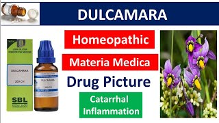 Dulcamara Drug Picture  Homeopathic medicine  Materia medica bhms dulcamara drugpicture [upl. by Diskin]