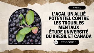 LAçai un allié potentiel contre les troubles mentaux étude Université Minas Gerais et de Toronto [upl. by Amelus]