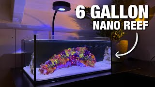 Setting up my New Nano Reef Tank Step by Step Tutorial [upl. by Crosley414]