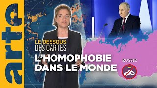 Homophobie  Poutine et le reste du monde  Le Dessous des cartes – L’essentiel  ARTE [upl. by Enad]