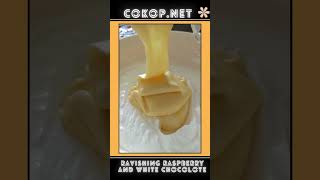 How to Make Raspberry amp White Chocolate Semifreddo [upl. by Areta698]