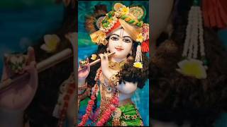 🌺🌺 krishna bhajan 🌺short status trending viral video 🌺 [upl. by Nels]