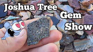 Joshua Tree Fall 2024 🪨💎💖 joshuatree gemshow gemsandminerals gemstonejewelry crystals gems [upl. by Sorci]