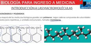 INTRODUCCION A LAS MACROMOLECULAS  BIOLOGIA PARA INGRESO A MEDICINA [upl. by Mayman813]