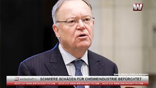 Schwere Schäden für deutsche Chemieindustrie befürchtet [upl. by Soalokcin]