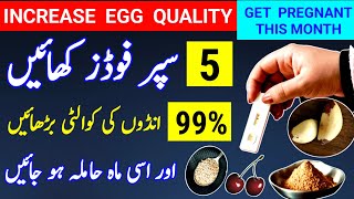 5 Supper Foods To increase Egg Quality 99 And Get Pregnant This Month How To Conceive dr tahir [upl. by Ecirtal]