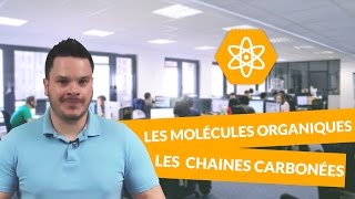 Les molécules organiques oxygénées  les chaines carbonées  PhysiqueChimie  1ere S  digiSchool [upl. by Iaw]