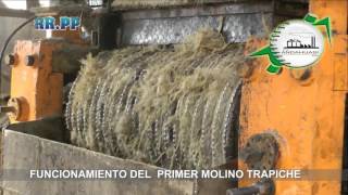 FUNCIONAMIENTO DEL PRIMER MOLINO TRAPICHE EN HD [upl. by Nairdad]