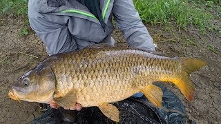 Carp Fishing in Rivers  How to Catch Carp in Rivers  River Fishing for Carp [upl. by Anawit574]