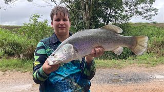 Insane barramundi fishing cairns [upl. by Aivekal]