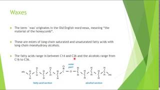 Waxes Structure and Functions [upl. by Iilek256]