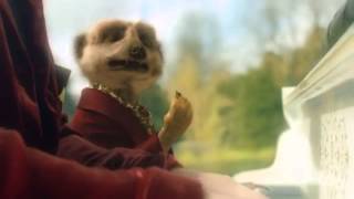 Meerkat Duet advert [upl. by Arlette]