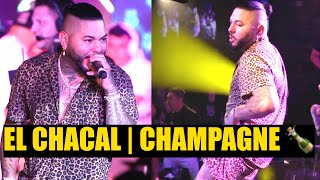 El Chacal  CHAMPAGNE 🍾  EN VIVO TAMPA 2022 [upl. by Kone]