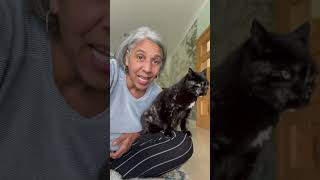 House sitter gets reputation ruined by a cat [upl. by Beaudoin]