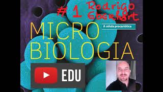 Bactérias aula geral Microbiologia [upl. by Moyna]