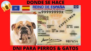 🔴DONDE se hace DNI PERROS amp GATOS🔴 [upl. by Licht]