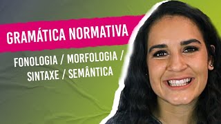 GRAMÁTICA NORMATIVA Fonologia Morfologia Sintaxe Semântica Aprenda a diferenciar [upl. by Asihtal]