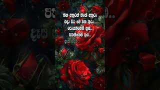 Hithata wadina wadan ඔයා කොහොමද🥺🔥tranding whatsapp quotes wadan sinhalawadan [upl. by Crispen]