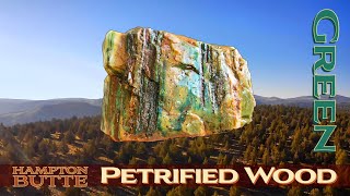 Green Petrified Wood Rockhounding Hampton Butte Oregon Agate Jasper thefinders [upl. by Nadroj]