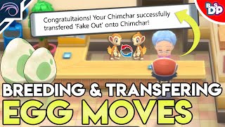 HOW to BREED  TRANSFER EGG MOVES in Pokemon Brilliant Diamond and Shining Pearl BDSP [upl. by Hacim]