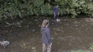 SHMAK Stream Life – Collecting Benthic Macroinvertebrates using the KickNet Method [upl. by Tremml]