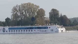 Flusskreuzfahrtschiff AROSA auf dem Rhein bei Rees flussaufwärts 181024 [upl. by Ecirtam]