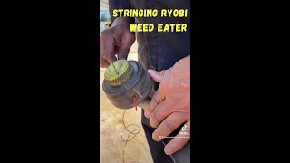 Easiest Way to Replace RYOBI Weed Eater String shorts ryobitools [upl. by Alemaj629]