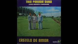 CASTELO DE AMOR TRIO PARADA DURA [upl. by Aix]