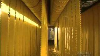 Making of pasta made in Factories [upl. by Loredo]