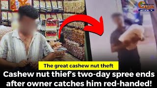 The great cashew nut theft Cashew nut thief’s twoday spree ends after owner catches him redhanded [upl. by Trula656]