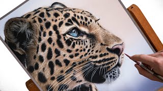 Leopard Speed Drawing  Realistic Pastel Art Tutorial [upl. by Suoiluj]