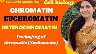 ChromatinEuchromatinHeterochromatinPackaging of ChromatinNucleosome ModelBSc 1st year [upl. by Threlkeld]