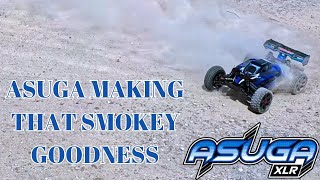 I Brought The Asuga Camping So Much Fun Drifting Ripping and Making That Smoke [upl. by Forrester]