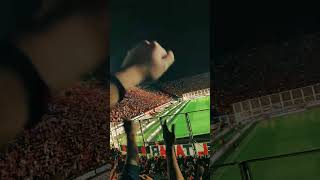 San Lorenzo es un sentimiento SanLorenzo BocaJuniors Boedo Ciclon [upl. by Sidnee]