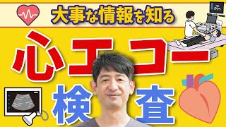 【医師解説】心エコー検査、健康診断における病気発見のカギとは？ [upl. by Yrrad]