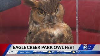 7th Annual Eagle Creek Park Owl Fest [upl. by Bolger]