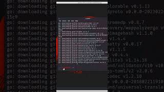 How to install gowitness in Kali Linux shorts [upl. by Jarvis]