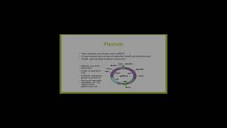 information about plasmid vector biotechnology [upl. by Ardnoid880]