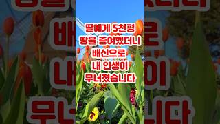 믿었던 딸에게 배신당한 엄마의 절규 5천 평 땅을 넘긴 후 후회하며 흘린 눈물 [upl. by Oneladgam12]